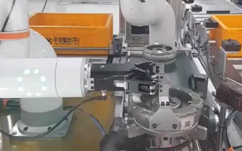 The Heart of Innovation: Company Culture and Core Technologies at DH-Robotics